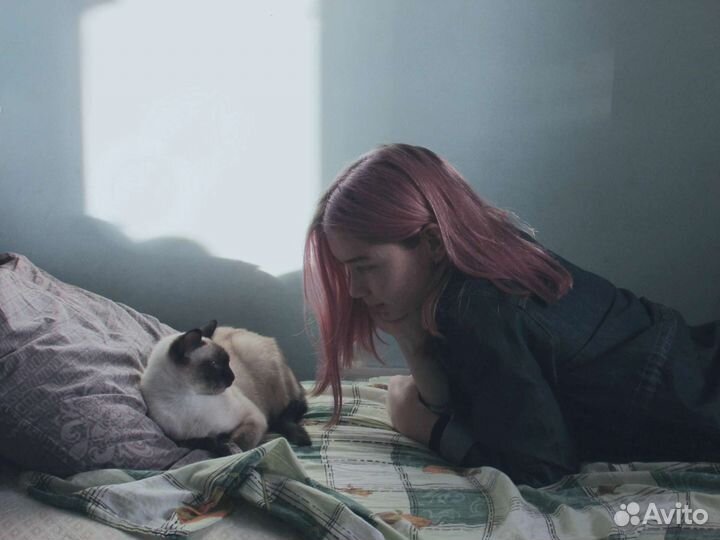 Фотоаппарат Canon PowerShot SX500 IS