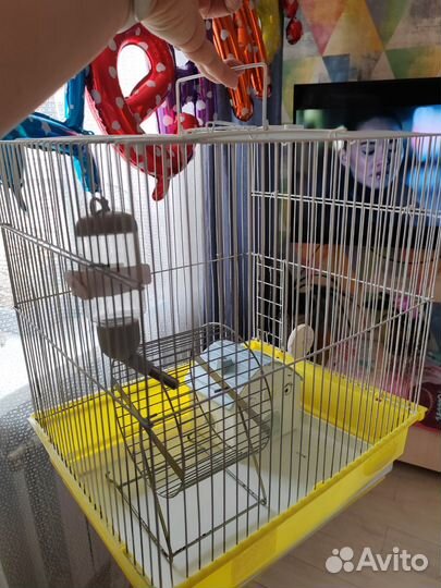 Клетка для грызунов +домик, поильник, мелок