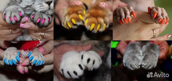 Антицарапки для кошек