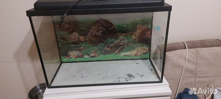 Аквариум