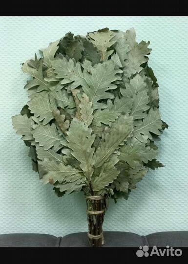 Веники Дуб, Пихта, Берёза