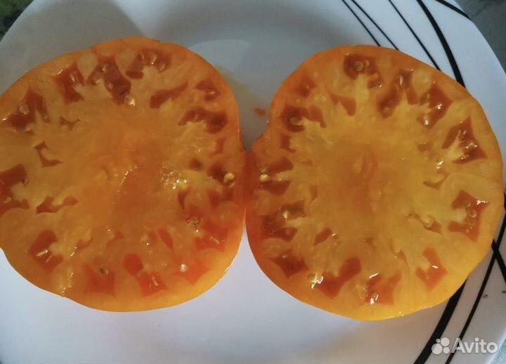 Семена коллекционных редких помидоров