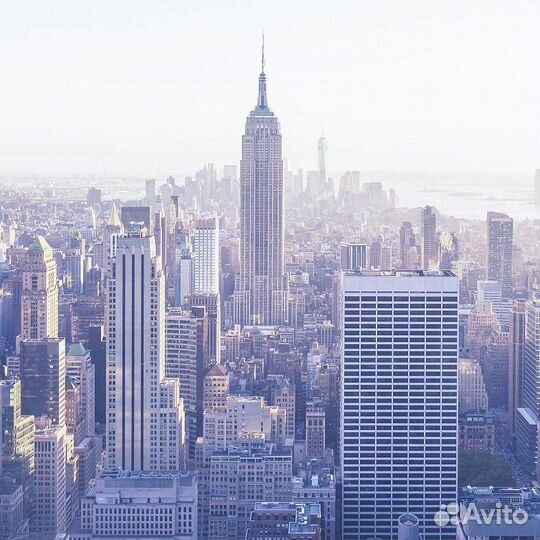 Дизайнерские фотообои 