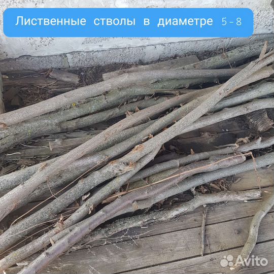 Лакомство ветки для грызунов