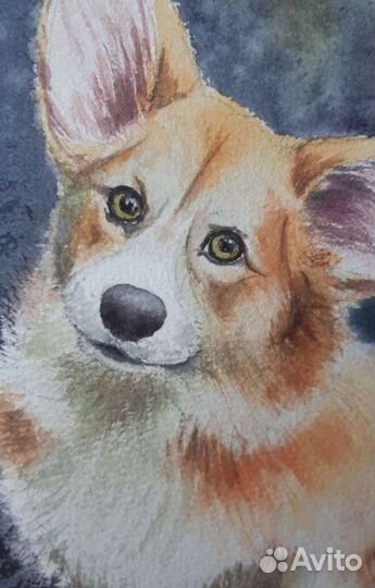 Собака акварелью Вельш Корги Пемброк