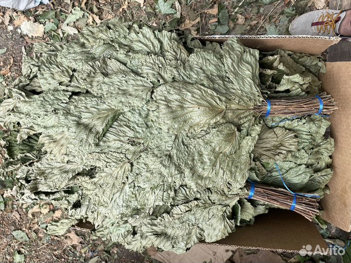 Банные веники,травы