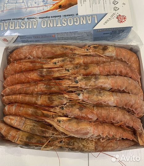 Лангустины L1