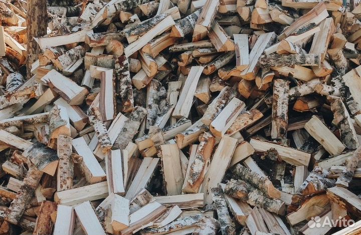 Дрова береза