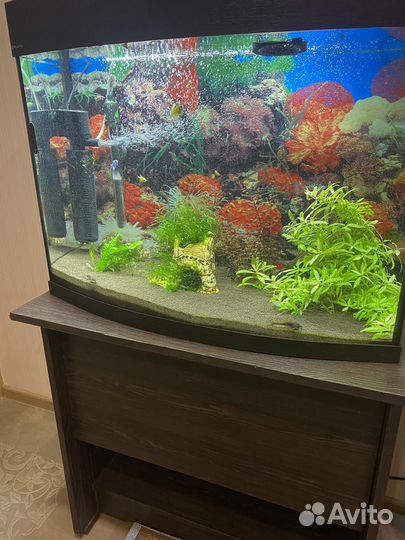 Аквариум панорамный