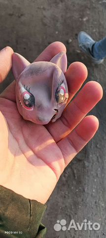 Просячье лицо