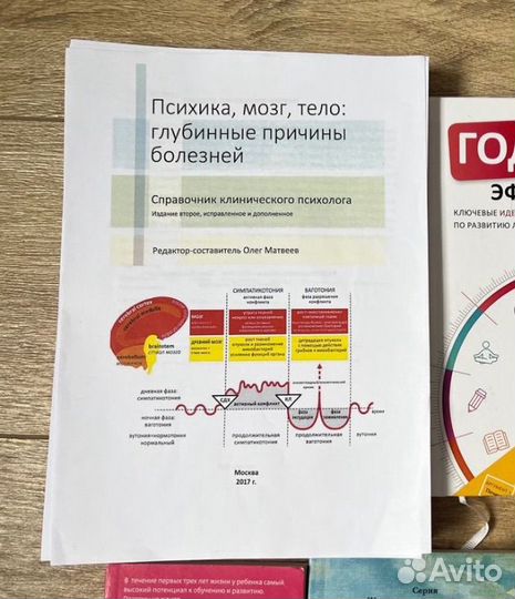 Психика, мозг, тело