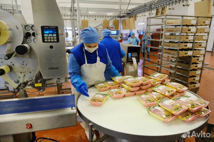 Работа на птицефабрике в команде Челябинск