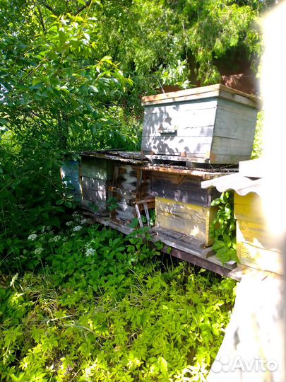 Ульи, инвентарь