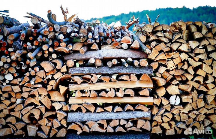 Дрова сегодня