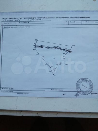 Участок 901,08 га (СНТ, ДНП)