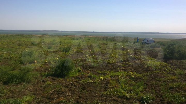 Участок 1,4 га (СНТ, ДНП)