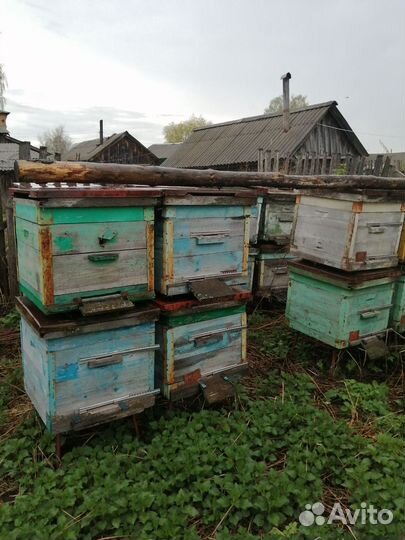 Улий для пчел
