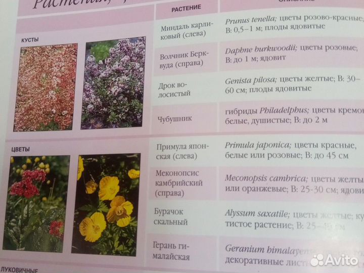 Книга ландшафтного дизайна