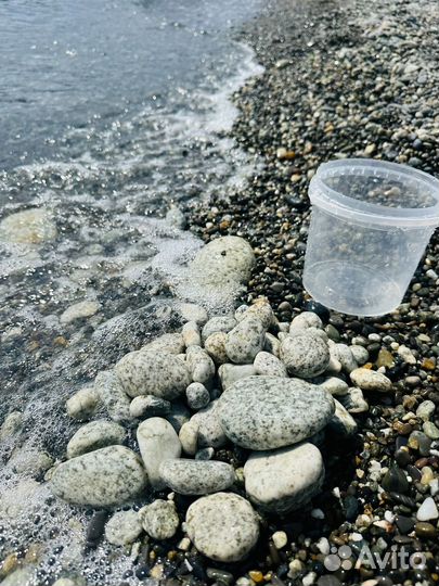 Галька черного моря