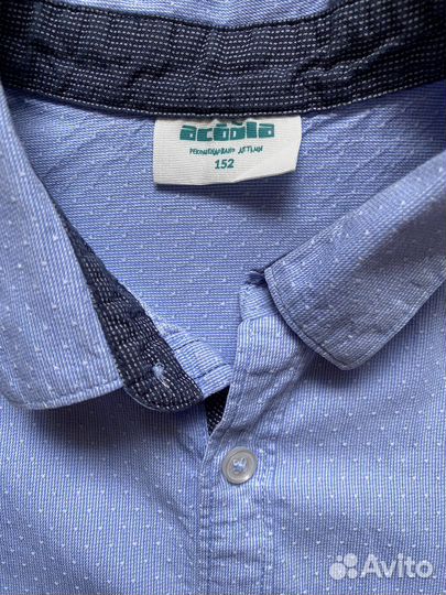Голубая рубашка на мальчика 152 см Acoola