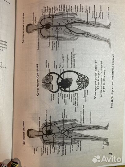 Биология в схемах, таблицах и рисунках