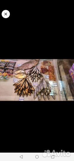 Магазин разливного пива