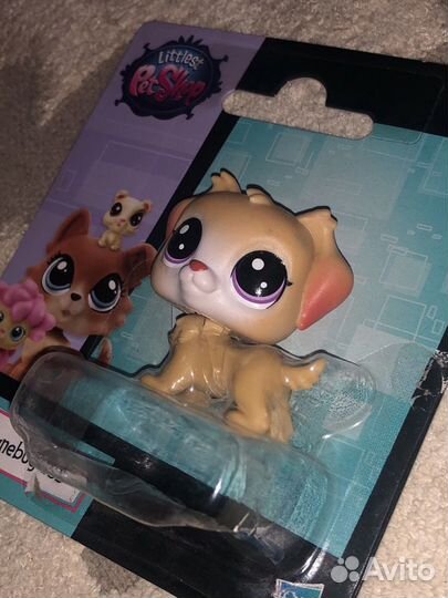 Littles pet shop