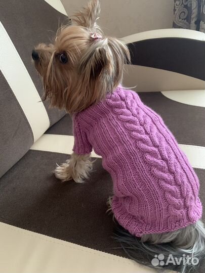 Одежда для маленьких собак