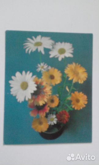 Открытки СССР чистые