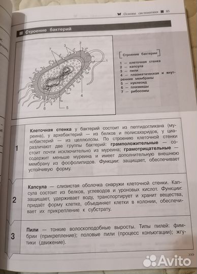 Справочник по биологии