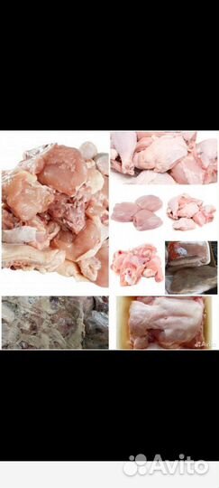 Мясо для собак