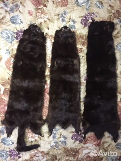 Шкуры норки