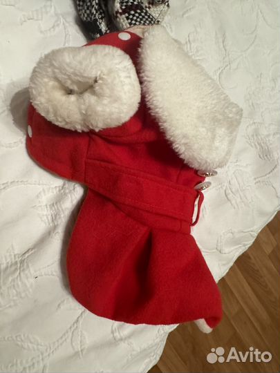 Комбенезон зимний, пальто и плащь для животных