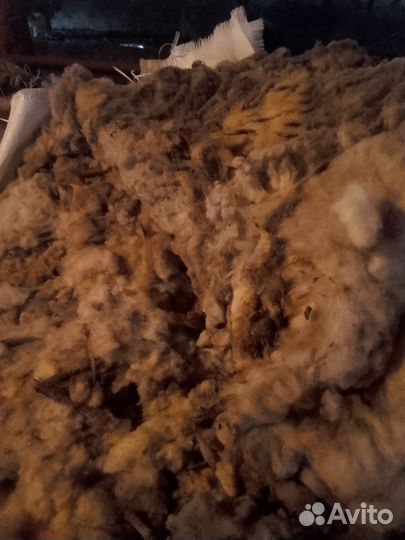 Баранья шерсть