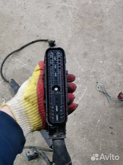 Проводка форсунок Ford Focus 2 Рестайлинг седан