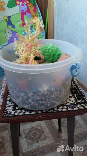 Наполнение в аквариум