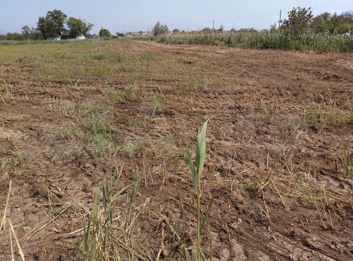 Участок 1,05 га (ИЖС)