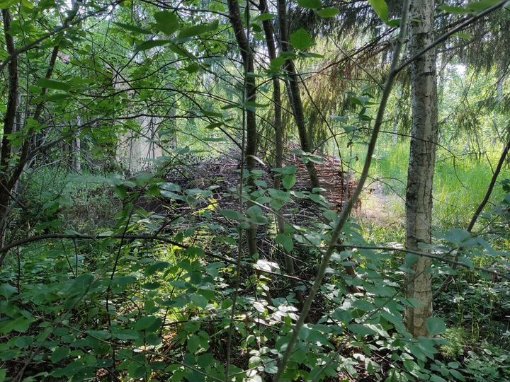 Участок 6 сот. (СНТ, ДНП)