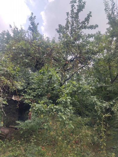 Дача 90 м² на участке 4,9 сот.