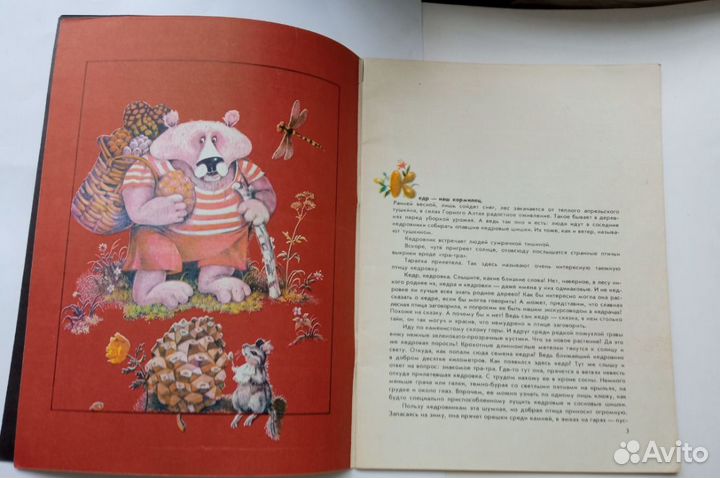 Товары для школы Извекова.Очем рассказала кедровка