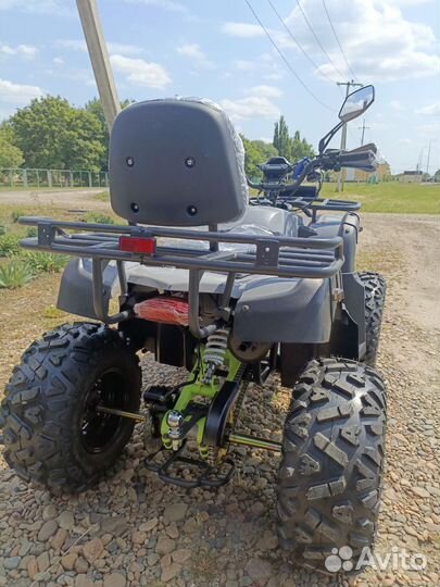 Hammer 200
