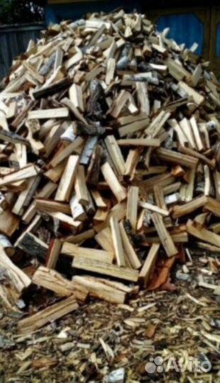 Дрова осина