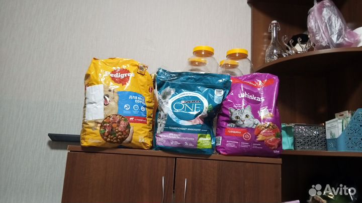 Корм для кошек