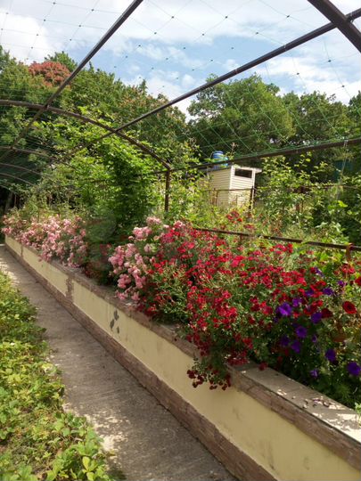 Дом 75 м² на участке 6 сот.