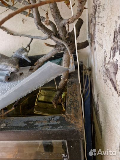 Аквариум с тумбой