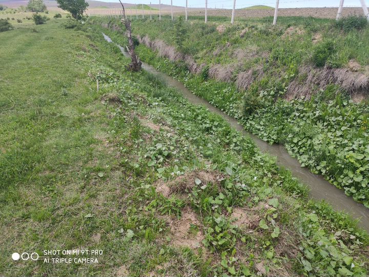 Участок 12 сот. (ИЖС)