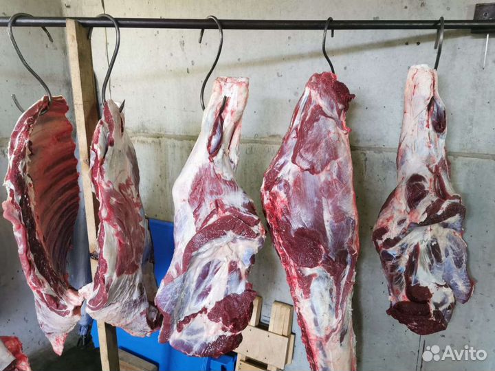 Домашнее мясо