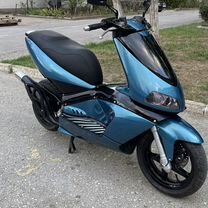 Aprilia area zone 51