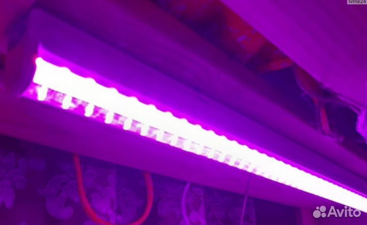 Лампа для растений светодиодная