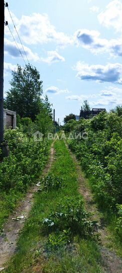 Участок 6 сот. (СНТ, ДНП)
